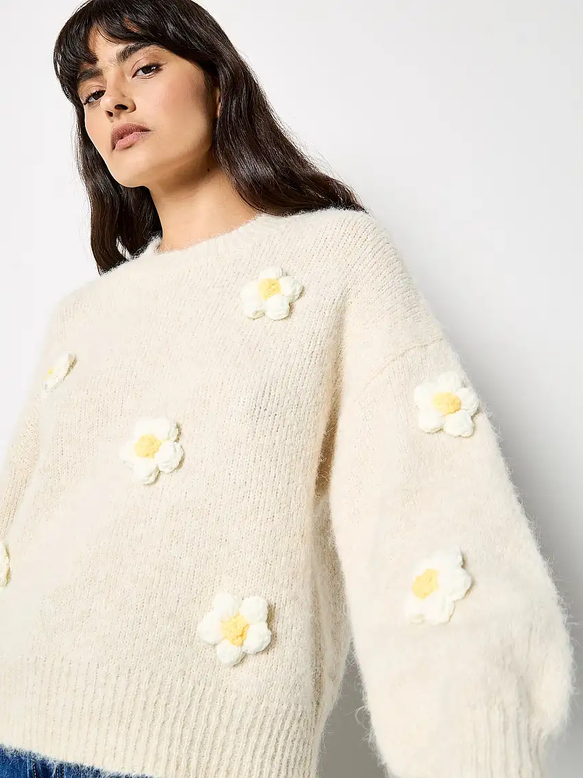 3D Daisy Embellished Oversized Jumper Stone