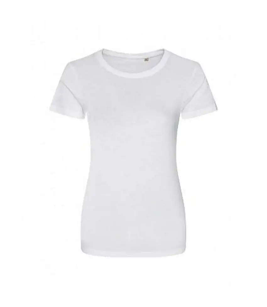 Ecologie Womens/Ladies Organic Cascades T-Shirt (Arctic White) - UTPC3191